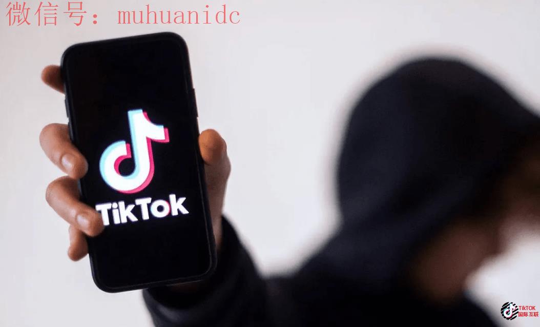 国际版TikTok变现方式？教你如何变百万富翁