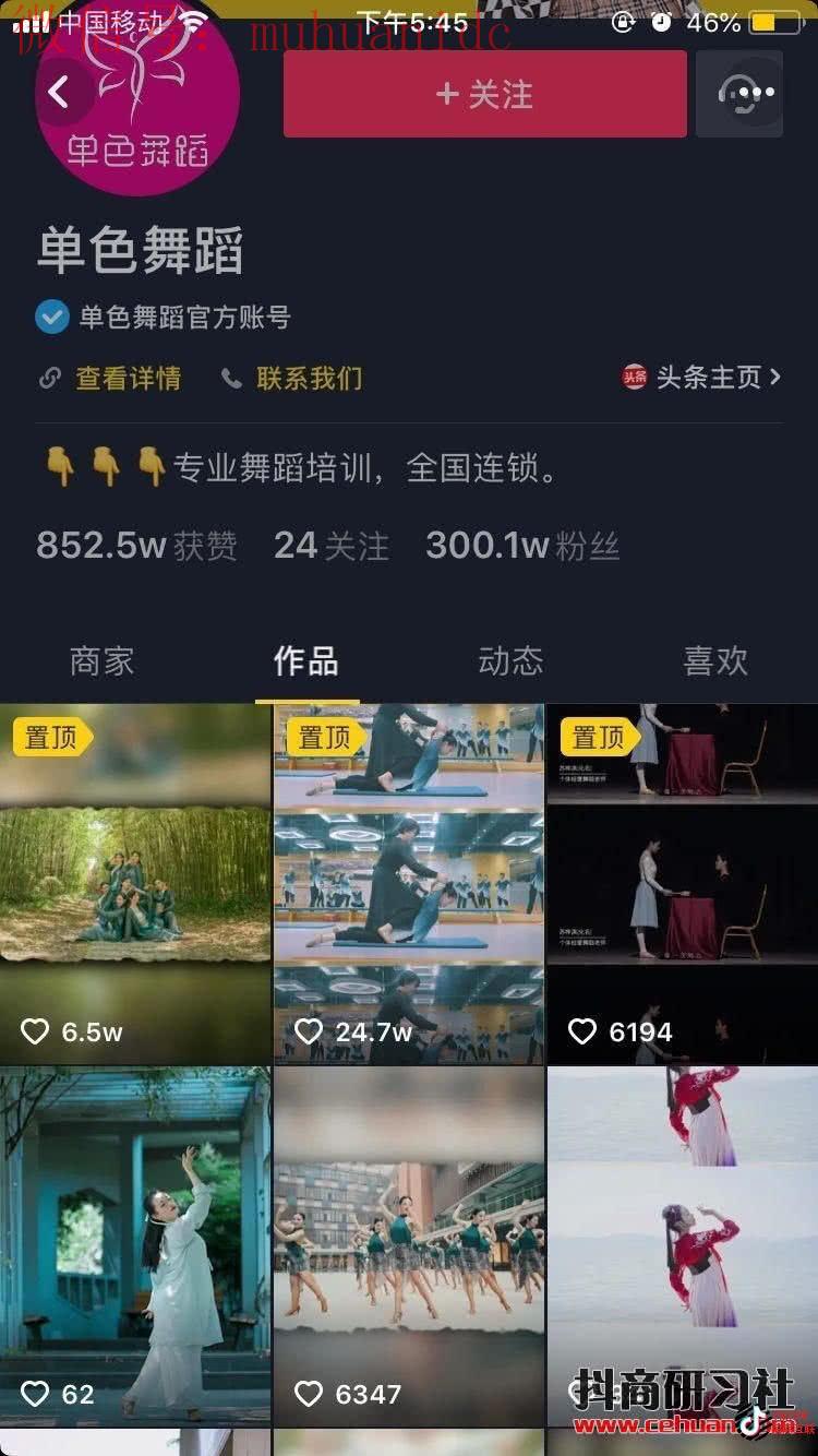 Tiktok蓝V认证和国内抖音蓝V认证是一样的吗？（详细介绍）