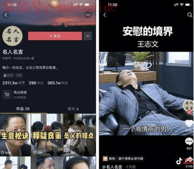 揭秘抖音混剪月入5万？TikTok混剪是否也能躺赚？