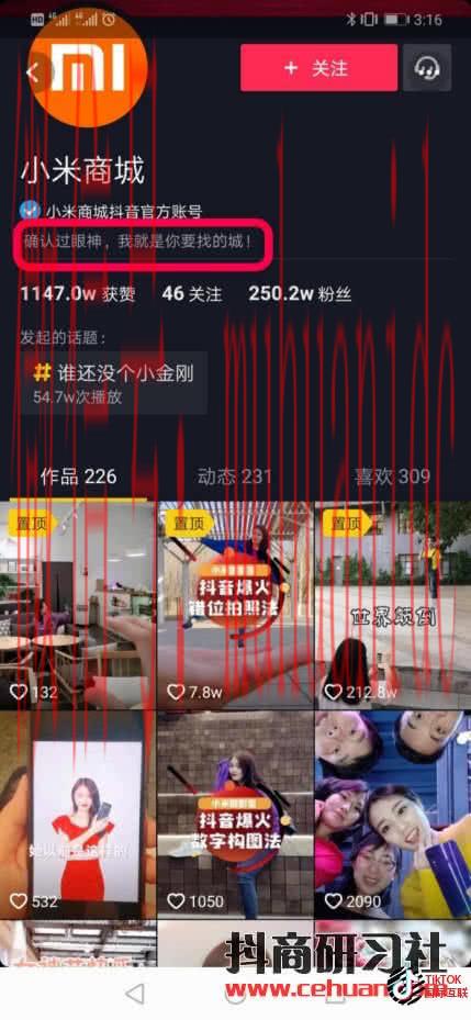 Tiktok蓝V认证和国内抖音蓝V认证是一样的吗？（详细介绍）