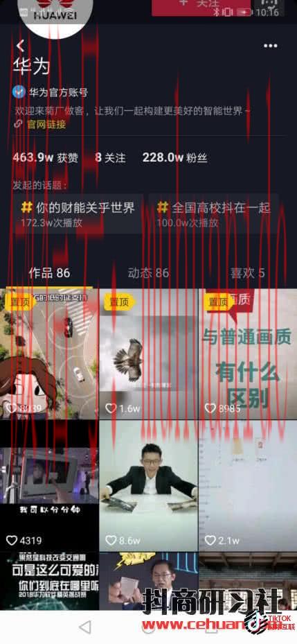 Tiktok蓝V认证和国内抖音蓝V认证是一样的吗？（详细介绍）