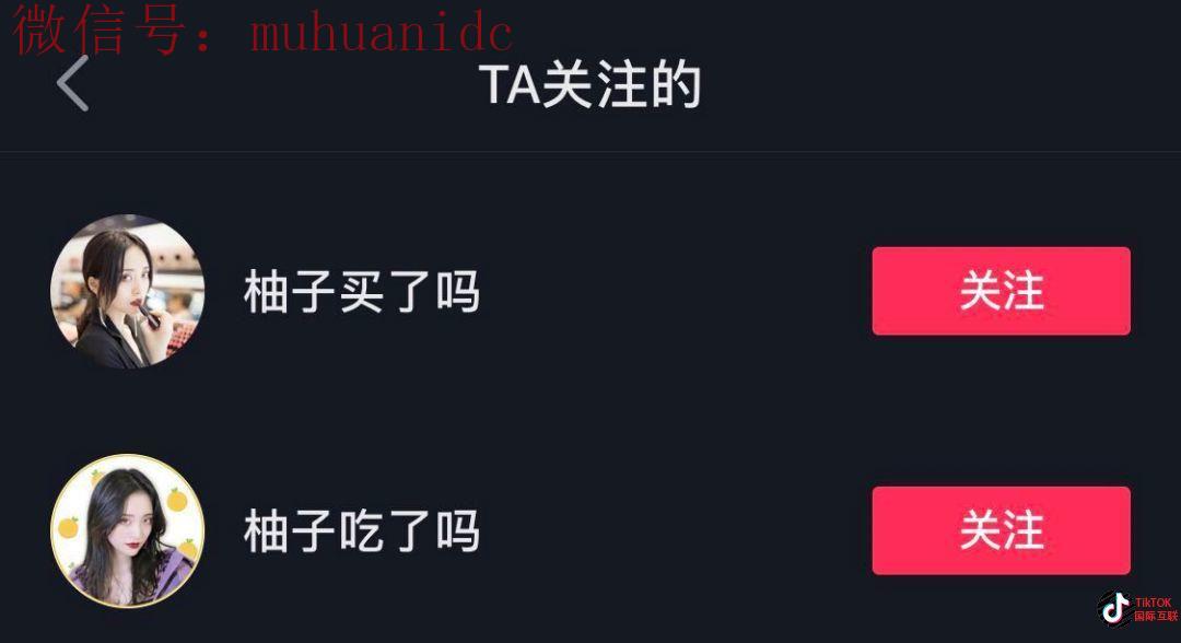 什么是TikTok矩阵？抖音矩阵的常见玩法适用于TikTok吗？