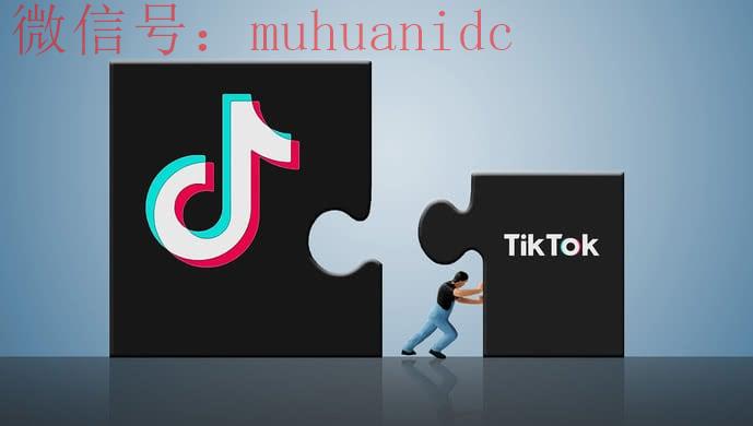 TikTok内容怎么定位？优化TikTok内容的 5 种方法