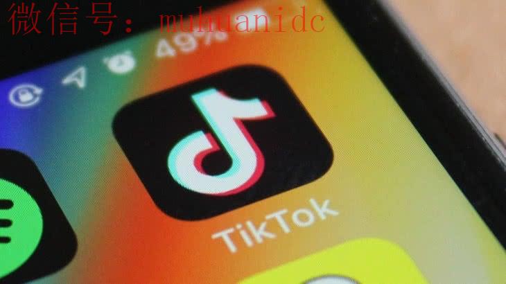 tiktok如何快速涨粉？tiktok快速涨粉秘诀