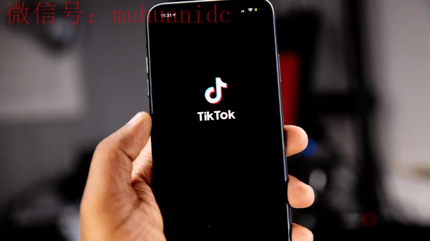 海外版TikTok最独特的赚钱方式？