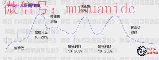 抖音如何快速起号？Tiktok快速起号的技巧