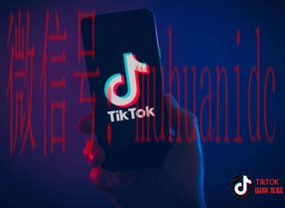 如何购买TikTok硬币，跟TikTok抖音充值抖币是一个性质吗？