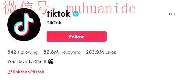 tiktok蓝v认证怎么获得？国际版tiktok蓝v认证7个步骤（验证成功）