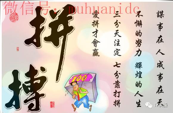 Tiktok有流量如何提高商品转化率（实际案例分析）