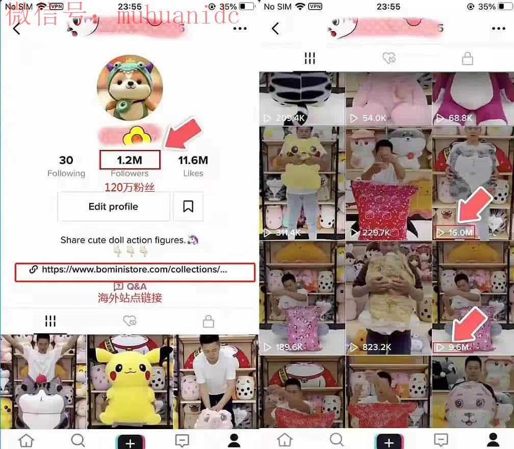 如何通过Tiktok进行跨境带货?