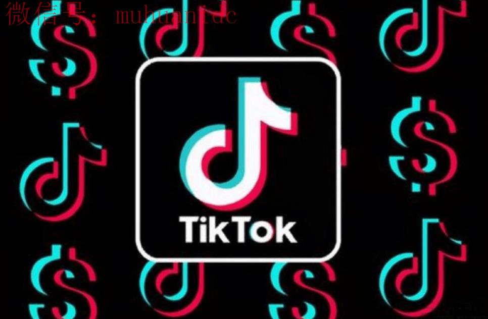 如何在Tiktok上搜索以查找特定用户，如何定位自己的Tiktok账户?