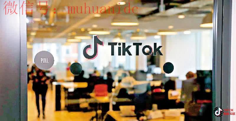 tiktok如何养号？tiktok如何快速成为百万粉丝用户？