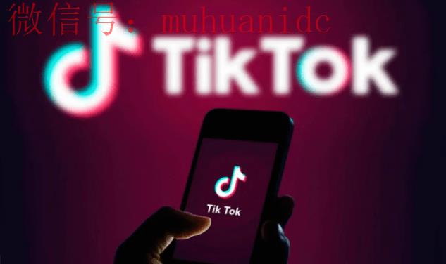2025年如何在TikTok上获得更多关注者？（最新解决办法）