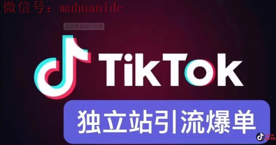 如何利用TikTok推广自己的业务？让你更快盈利？