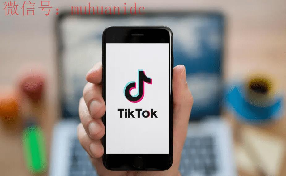 为什么“TikTok 泄密室”成为趋势？