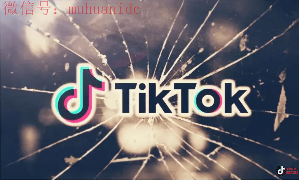 震惊！为什么TikTok如此受欢迎？为什么社交网络是独一无二的？
