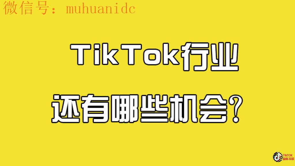 Tiktok对普通人是机会还是韭菜？2025年普通人的逆袭的机会