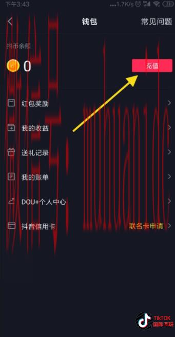 如何购买TikTok硬币，跟TikTok抖音充值抖币是一个性质吗？