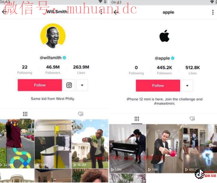 Tiktok蓝V认证和国内抖音蓝V认证是一样的吗？（详细介绍）