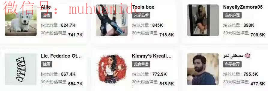关于抖音Tiktok最新玩法？全是干货！