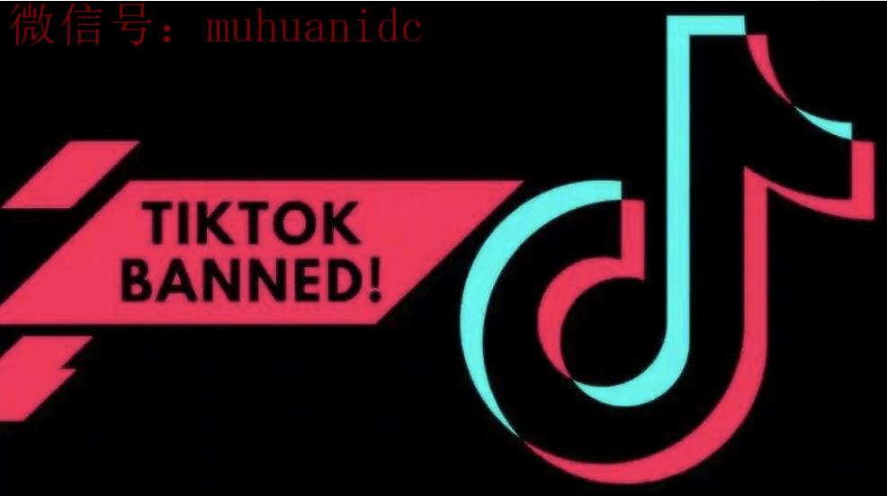 为什么选择TikTok而不是其他社交媒体平台？（极力推荐）