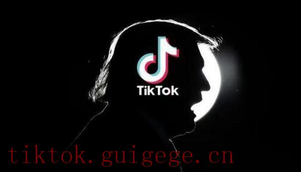 TikTok播放量