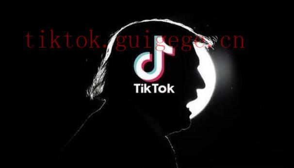 媒体平台。