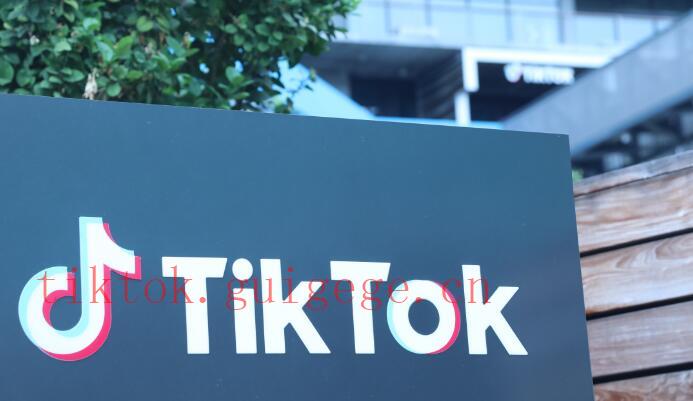 播放量低、内容质量、用户互动、TikTok算法、发布时间、视频质量、曝光机会、用户粘性