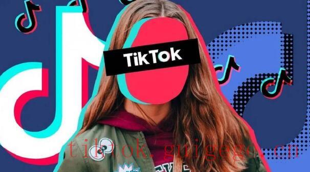 TikTok粉丝增长