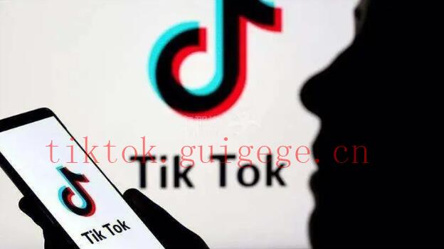 TikTok怎么买粉