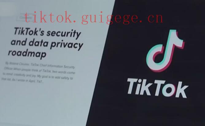 TikTok播放量