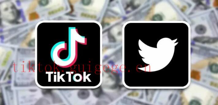 TikTok粉丝