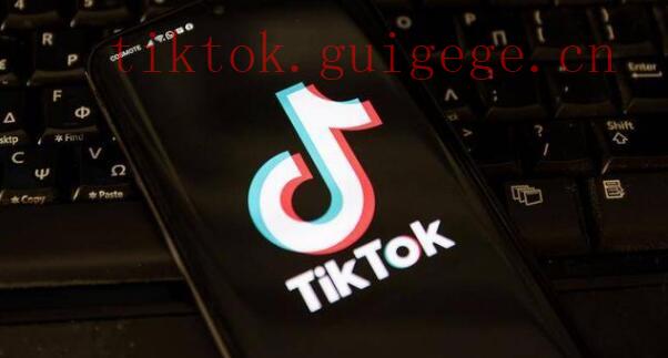 TikTok播放基金