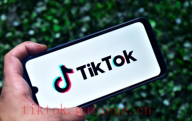 TikTok视频无播放
