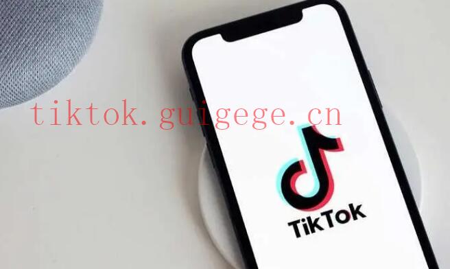 TikTok作品