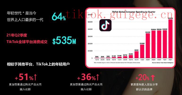 TikTok播放量